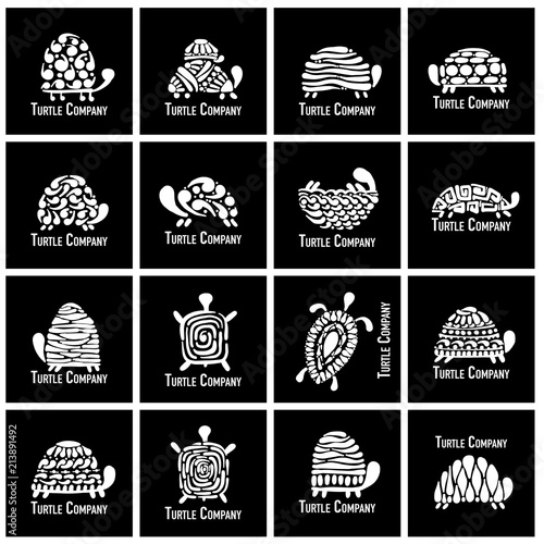 Turtle logo set for your design