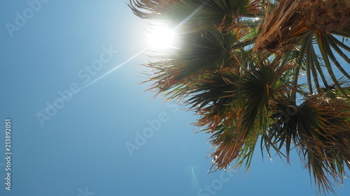 Parasol and palms  sky with clouds. travel concept