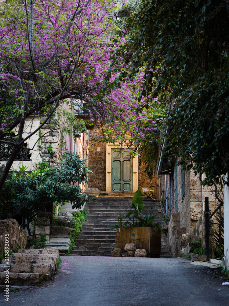 Sunlit ancient door with trees and staircase near the Sursock Palace area in Beirut, Lebanon Sunlit ancient door with trees and staircase near the Sursock Palace area in Beirut, Lebanon