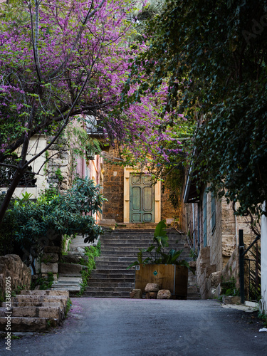 Sunlit ancient door with trees and staircase near the Sursock Palace area in Beirut  Lebanon