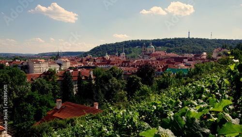 Piękne zielone miasto - krajobraz czeskiej Pragi w stronę wzgórza Petrzyna #213895011