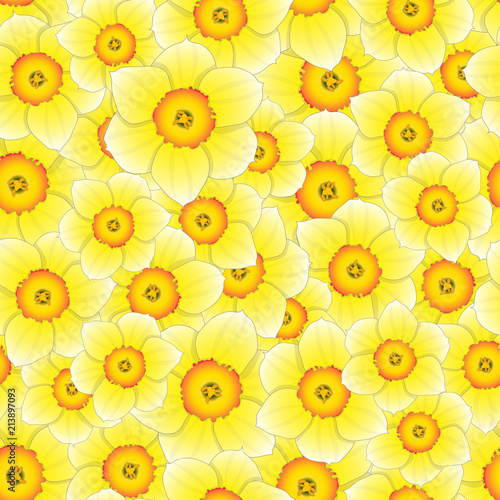 Fototapeta Naklejka Na Ścianę i Meble -  Yellow Daffodil - Narcissus Seamless Background.