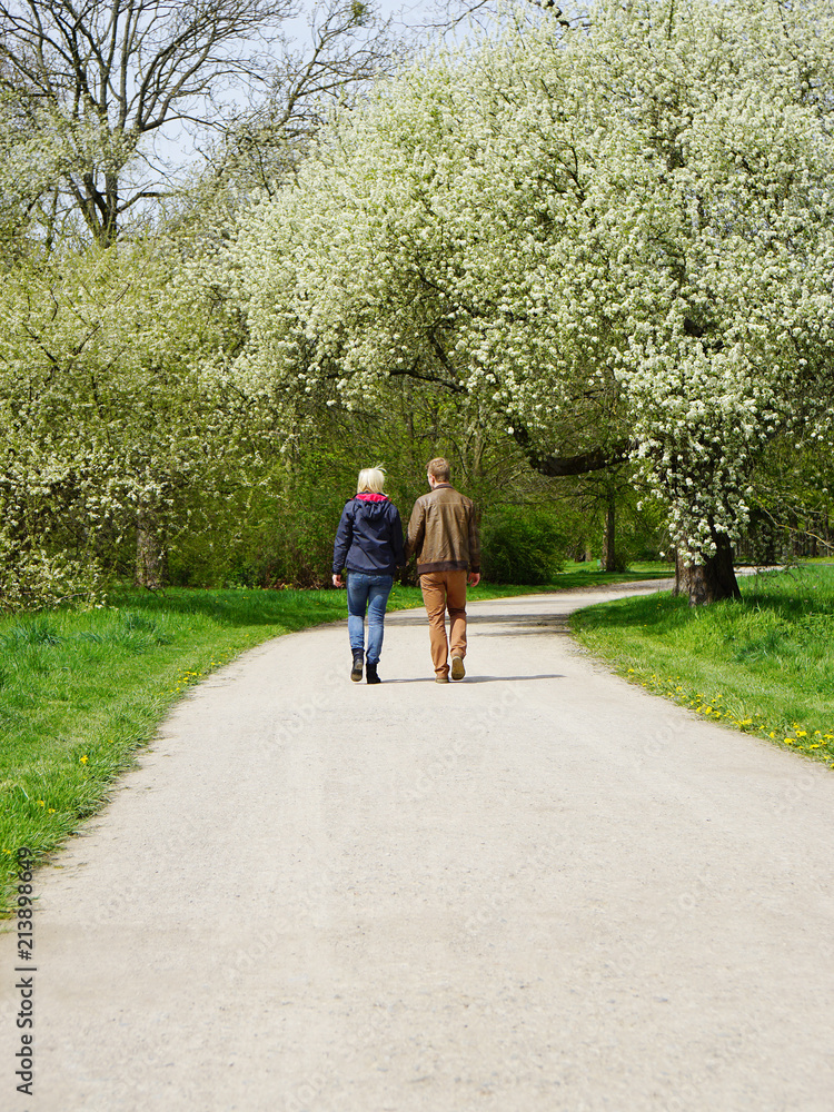 rear view of a young couple going for a walk in a park in spring rear view of a young couple going for a walk in a park in spring