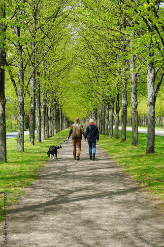 rear view of a young couple taking the dog for a walk 