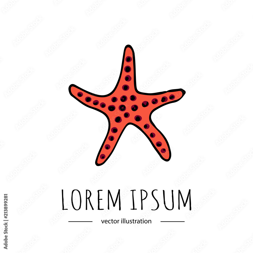 Obraz premium Hand drawn doodle sea star icon isolated on white background. Vector illustration Florida symbol USA cartoon ocean element Tropical beach vacation seashell Underwater life