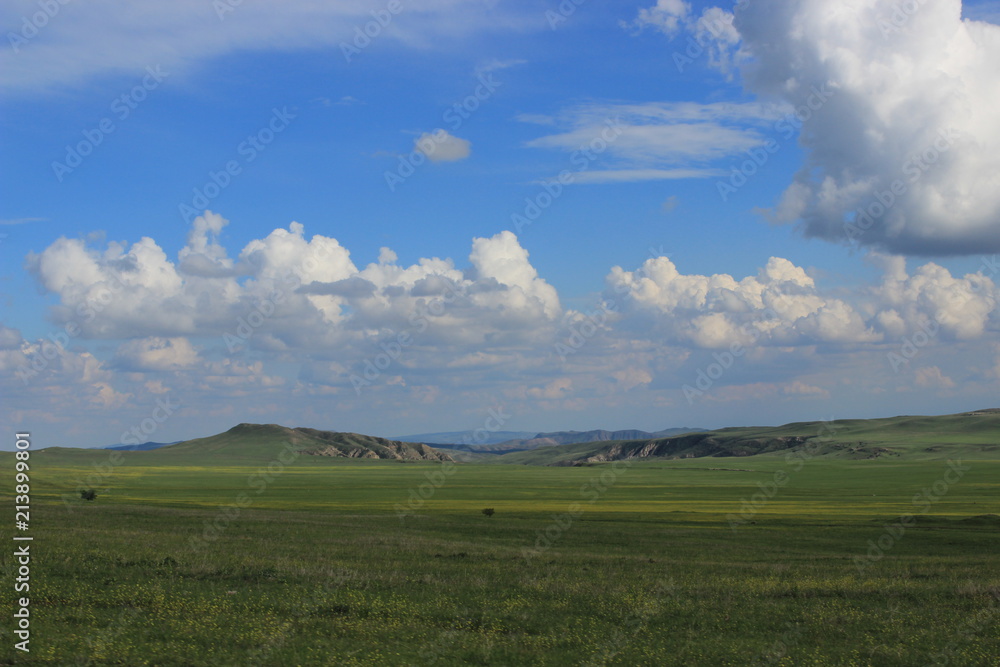 the green desert in georgia