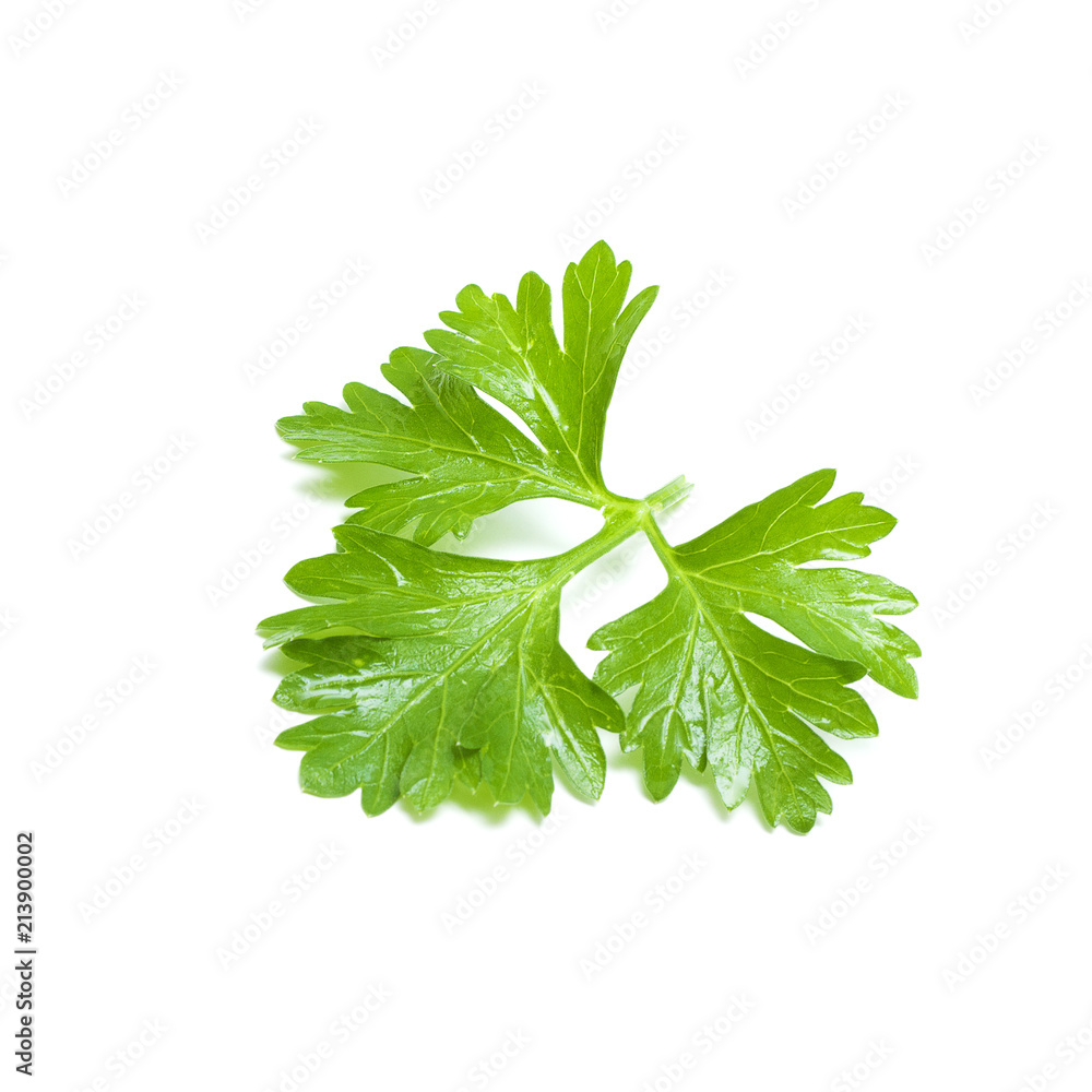Obraz premium Зеленый лист петрушки изолированный на белом фоне