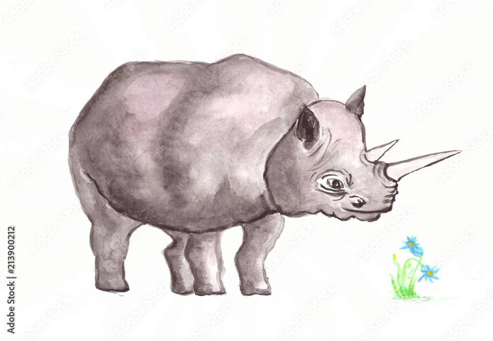 Drawing with watercolors: a large gray rhinoceros.