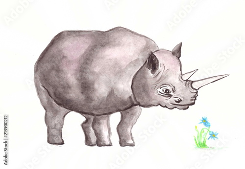 Drawing with watercolors  a large gray rhinoceros.