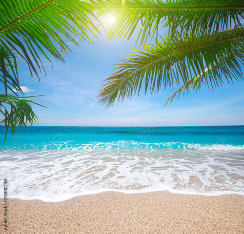 tropical beach with coconut palm © Alexander Ozerov