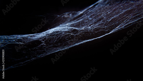cobweb or spider web on black background
