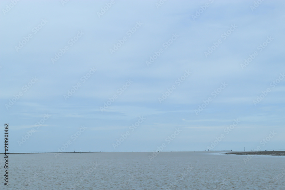 Natural forest and sky at Don Hoi lot in Women looking for Snail shells on the sea floor mud at Don Hoi lot in Samut songkham , Thailand..