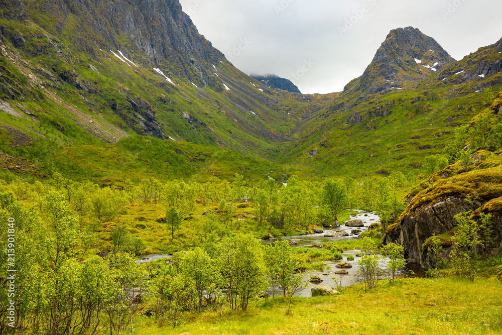 Mountain landscape and lovely creek in spring time in Norway