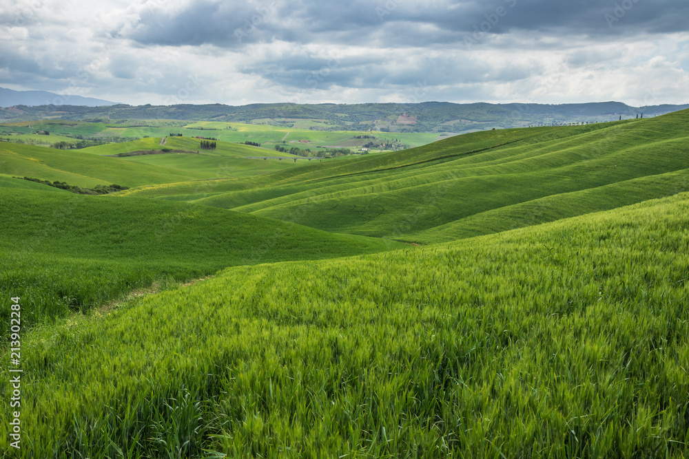 Endless green fields and meadows. Beautiful rolling green hills. Amazing Tuscany region. Italy is wonderful country, popular travel destination. Endless green fields and meadows. Beautiful rolling green hills. Amazing Tuscany region. Italy is wonderful country, popular travel destination.