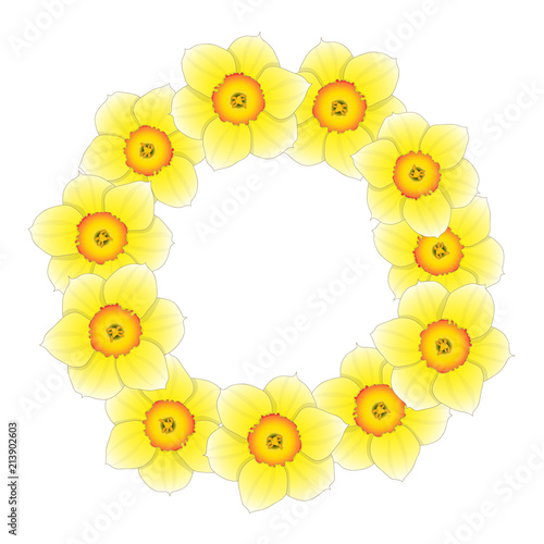 Fototapeta Naklejka Na Ścianę i Meble -  Yellow Daffodil - Narcissus Flower Wreath