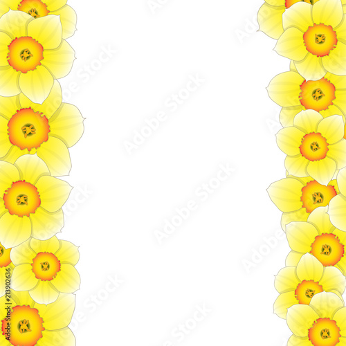 Fototapeta Naklejka Na Ścianę i Meble -  Yellow Daffodil - Narcissus Flower Border