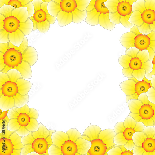 Fototapeta Naklejka Na Ścianę i Meble -  Yellow Daffodil - Narcissus Flower Border