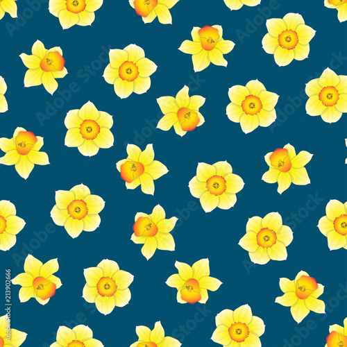 Fototapeta Naklejka Na Ścianę i Meble -  Yellow Daffodil - Narcissus Flower on Indigo Blue Background