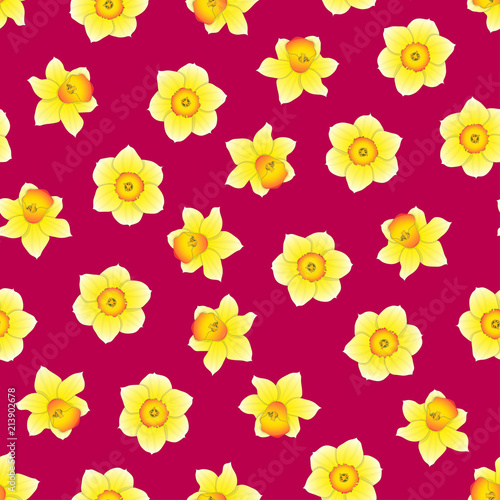 Fototapeta Naklejka Na Ścianę i Meble -  Yellow Daffodil - Narcissus Flower on Pink Background