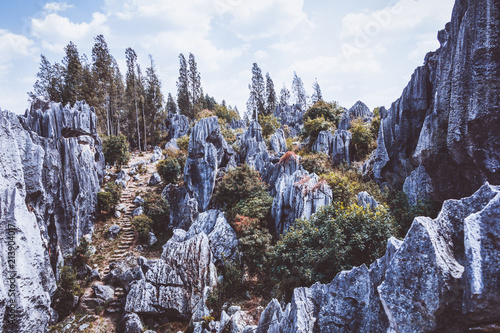 Stone forest, rock formations in Yunnan, China photo