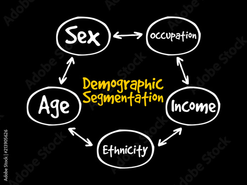 Demographic segmentation mind map flowchart social concept for presentations and reports