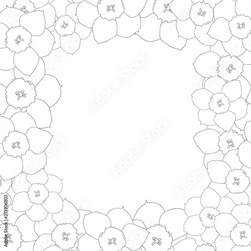 Fototapeta Naklejka Na Ścianę i Meble -  Daffodil - Narcissus Flower Outline Border
