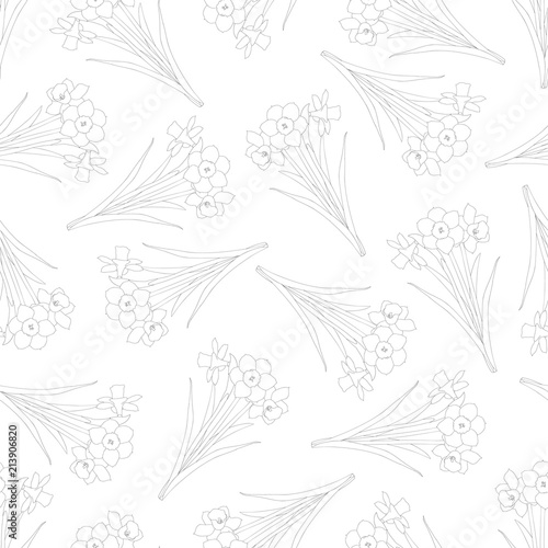 Fototapeta Naklejka Na Ścianę i Meble -  Daffodil - Narcissus Outline Seamless on White Background