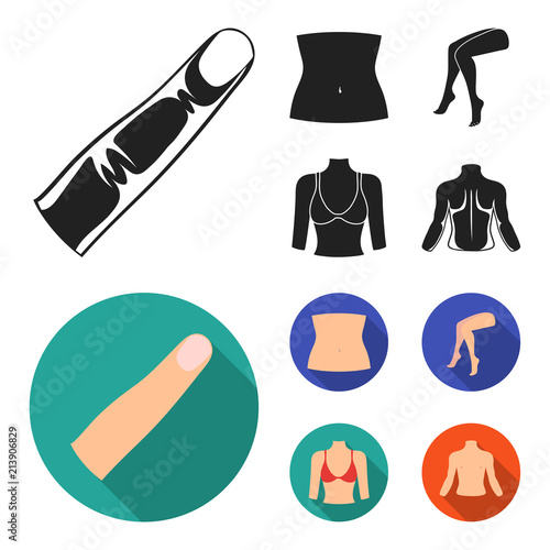 Finger, female feet, female, bust. Part of the body set collection icons in black, flat style vector symbol stock illustration web.