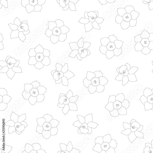Fototapeta Naklejka Na Ścianę i Meble -  Daffodil - Narcissus Flower Outline on White Background