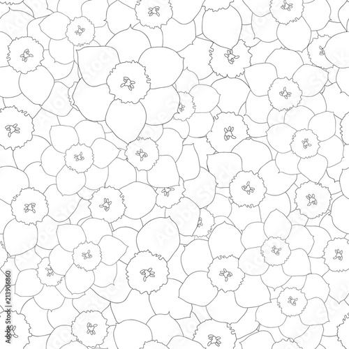 Fototapeta Naklejka Na Ścianę i Meble -  Daffodil - Narcissus Outline Seamless Background