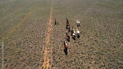 An aerial shot of horses running scenicly. photo