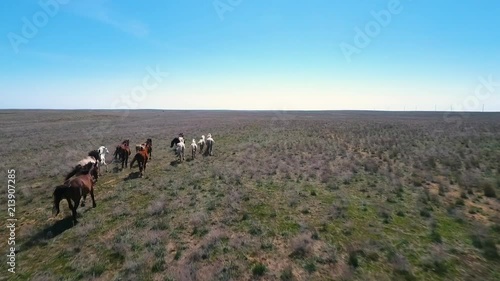 An aerial shot of horses running scenicly. photo