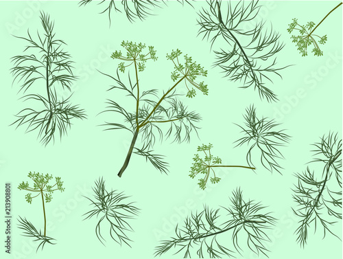 green parsley and dill background illustration