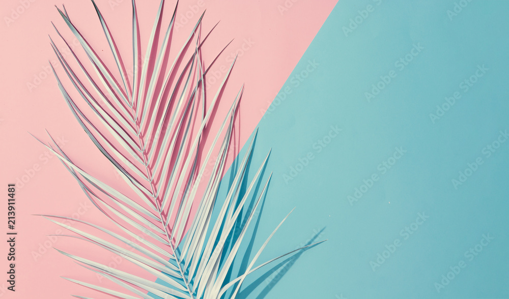 Palm leaf on pastel pink and blue background with copy space. Tropical  summer concept. Minimal flat lay. Stock Photo | Adobe Stock