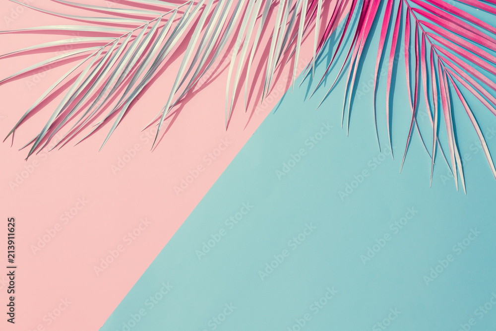Painted palm leaves on pastel pink and blue background with copy space. Tropical summer concept. Minimal flat lay. - obrazy, fototapety, plakaty 