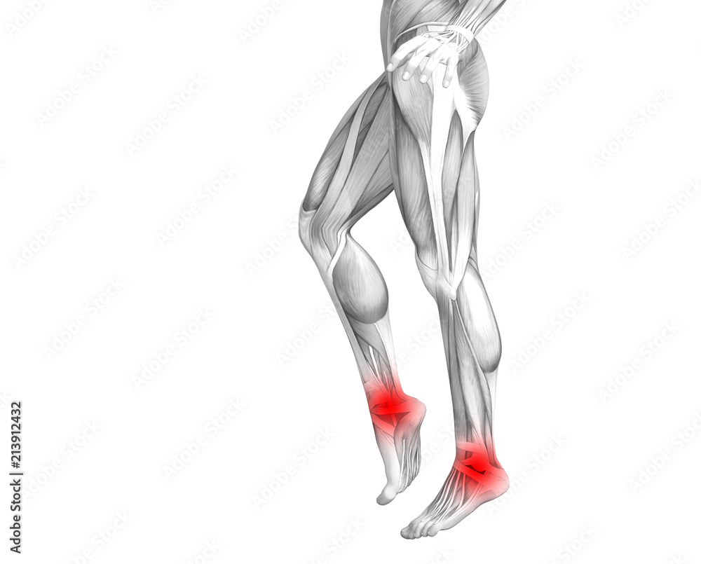 Conceptual ankle human anatomy with red hot spot inflammation or articular joint pain for leg health care therapy or sport muscle concepts. 3D illustration man arthritis or bone osteoporosis disease Conceptual ankle human anatomy with red hot spot inflammation or articular joint pain for leg health care therapy or sport muscle concepts. 3D illustration man arthritis or bone osteoporosis disease