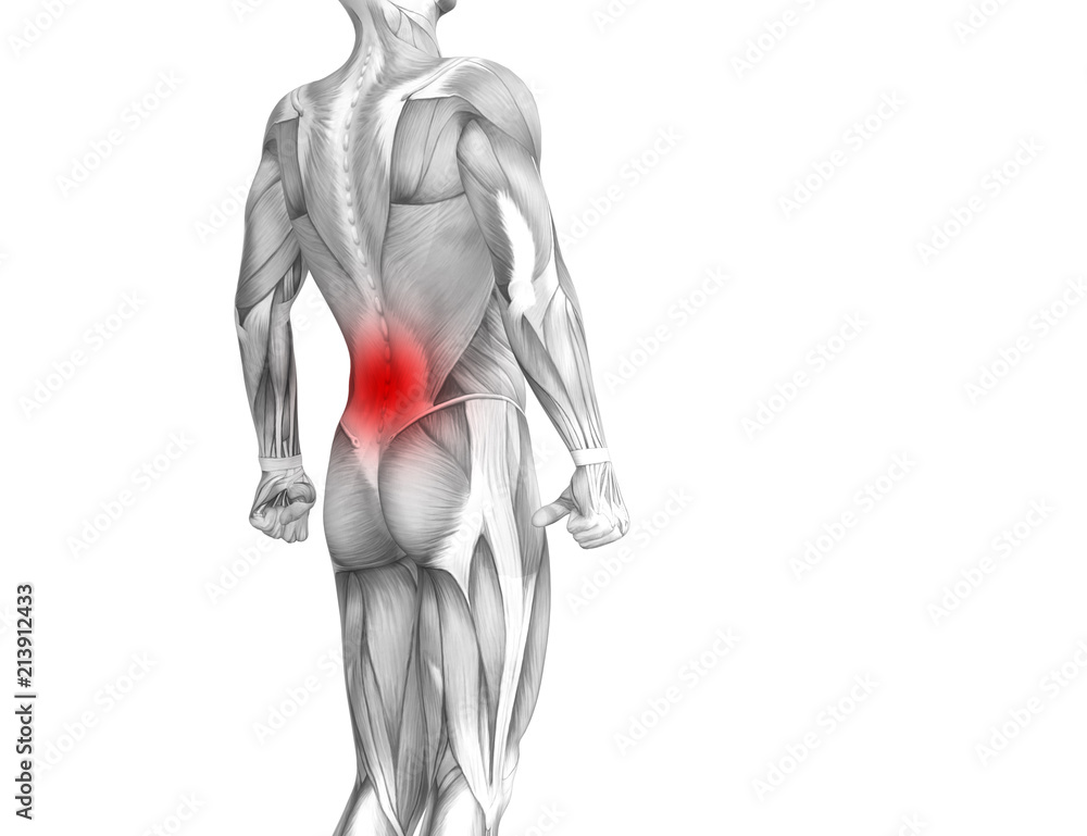 Obraz premium Conceptual back human anatomy with red hot spot inflammation articular joint pain or spine health care therapy or sport muscle concepts. 3D illustration man arthritis or bone sore osteoporosis disease