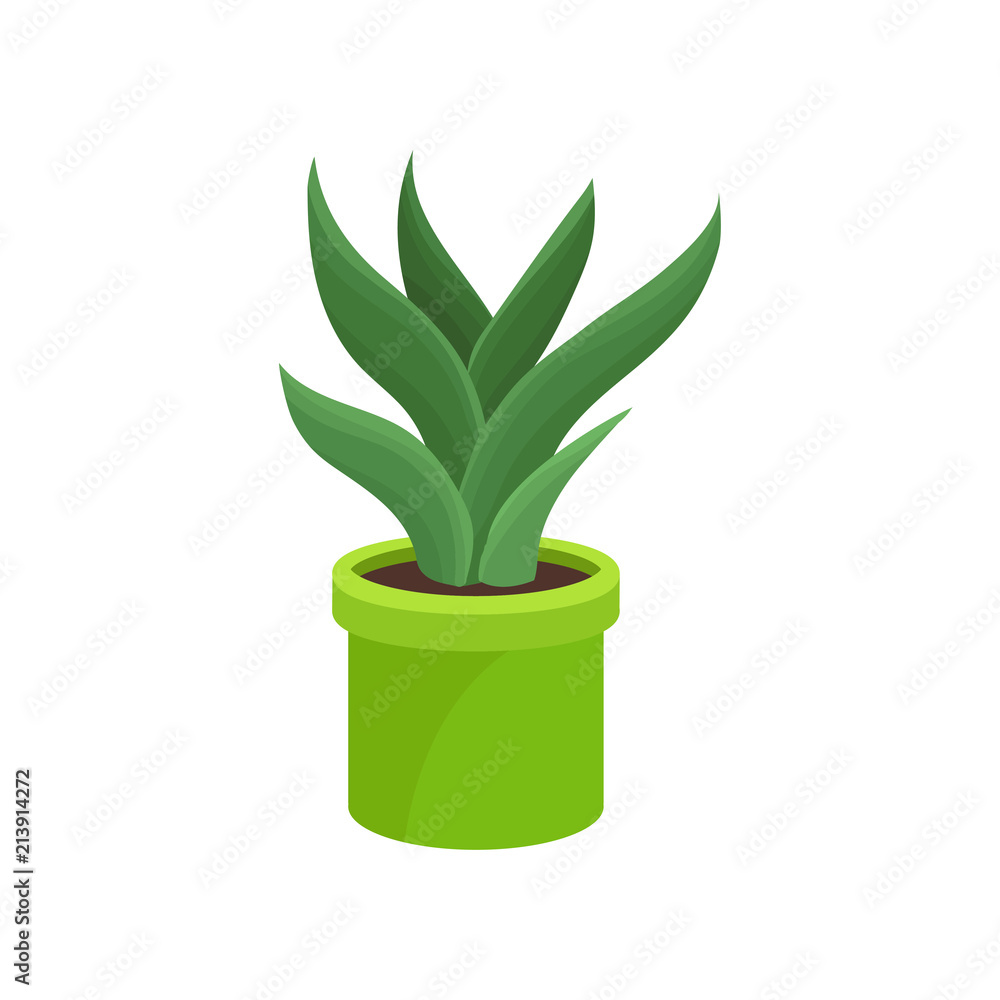 Aloe vera in bright green ceramic pot. Medical plant. Houseplant for interior. Flat vector for home decor or flower shop Aloe vera in bright green ceramic pot. Medical plant. Houseplant for interior. Flat vector for home decor or flower shop