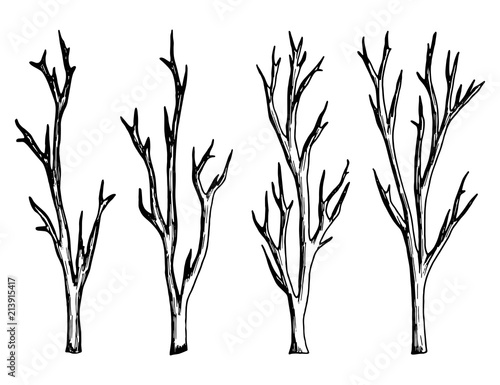 twigs drawing of a handmade monochrome vector. isolated on white background