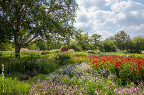 Summer country garden landscape. Beautiful colorful horticulture scene with flowers