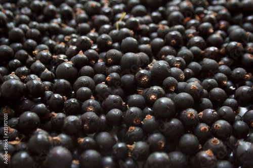 Black currant berries background close up