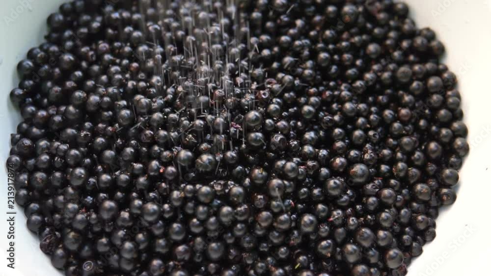 flowing sugar in the bowl with blackcurrants flowing sugar in the bowl with blackcurrants