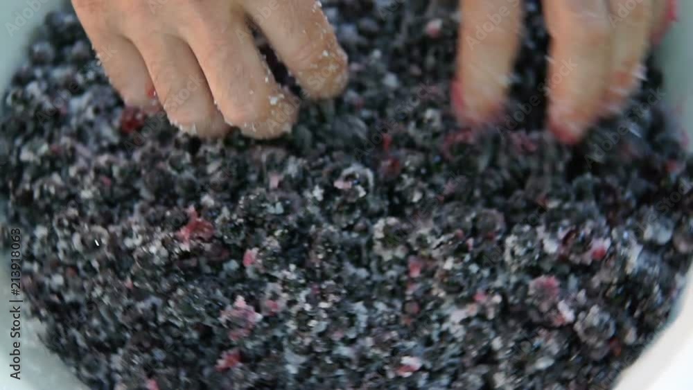 The cook prepares jam from the black currant The cook prepares jam from the black currant
