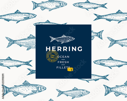 Hand Drawn Fish Vector Background Pattern. Abstract Package Sketch Card or Cover Template with Trendy Typography and Emblem. Herring, Anchvy and Salmon Sketches.