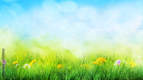 grass and flowers background