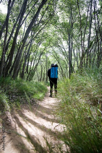 Wallpaper Mural Hiking in Spain Torontodigital.ca