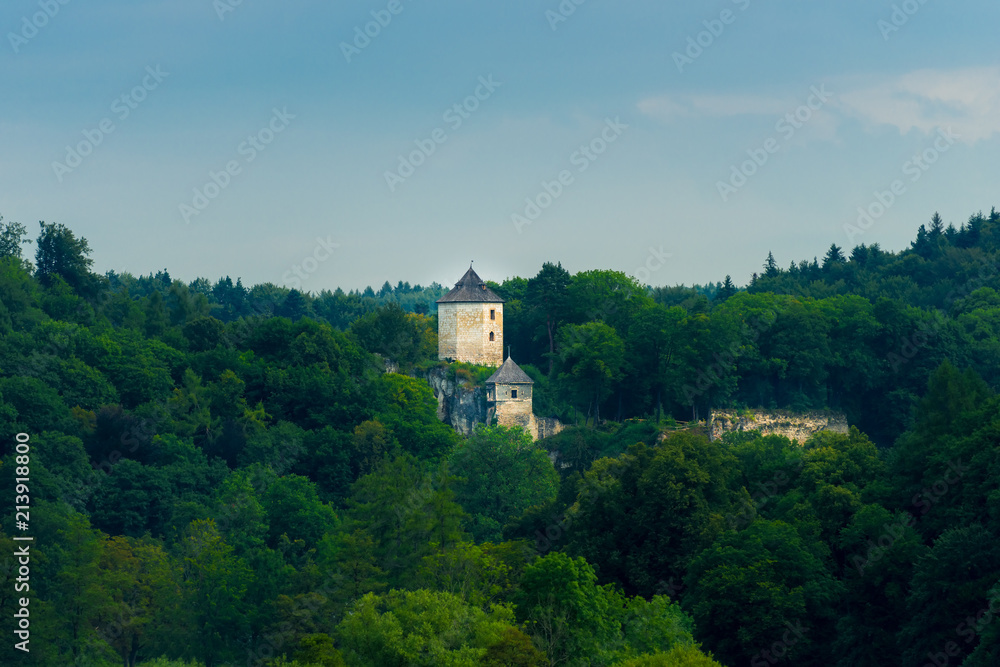 The castle tower among the trees in the park of Ojców, Poland