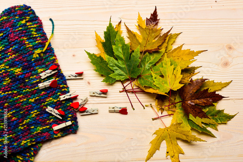 Autumn fallen leaves, tiny pins with hearts and knitted scarf on light background. Autumn colorful leaves on wooden texture. Fall season concept. Maple dried leaf on natural wooden background