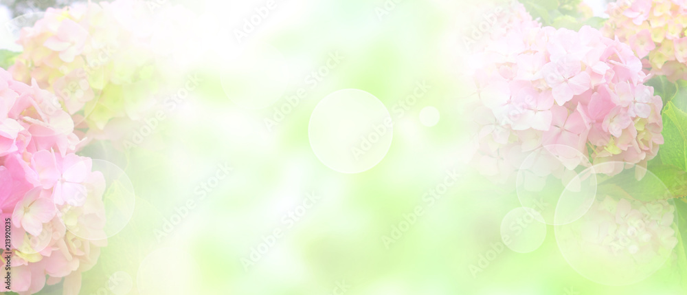 Obraz premium Tender pink blossoms background