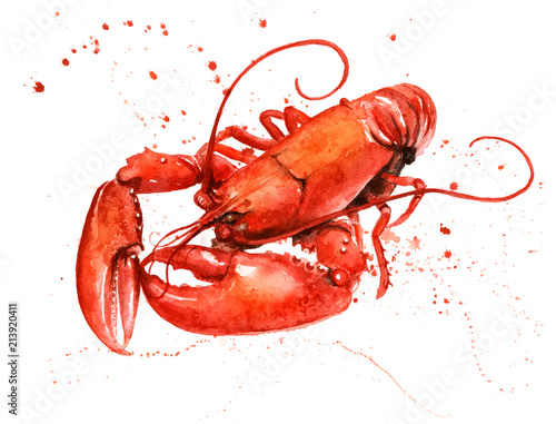Lobster Watercolour